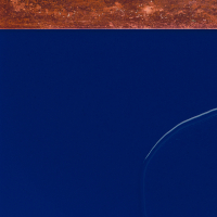 Corythornis cristatus